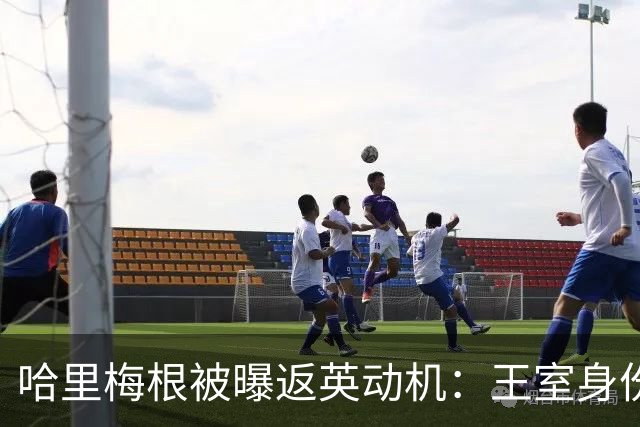 哈里梅根被曝返英动机：王室身份成唯一资本却亲手毁掉
